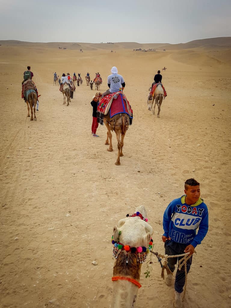 Heading out into the desert on camels