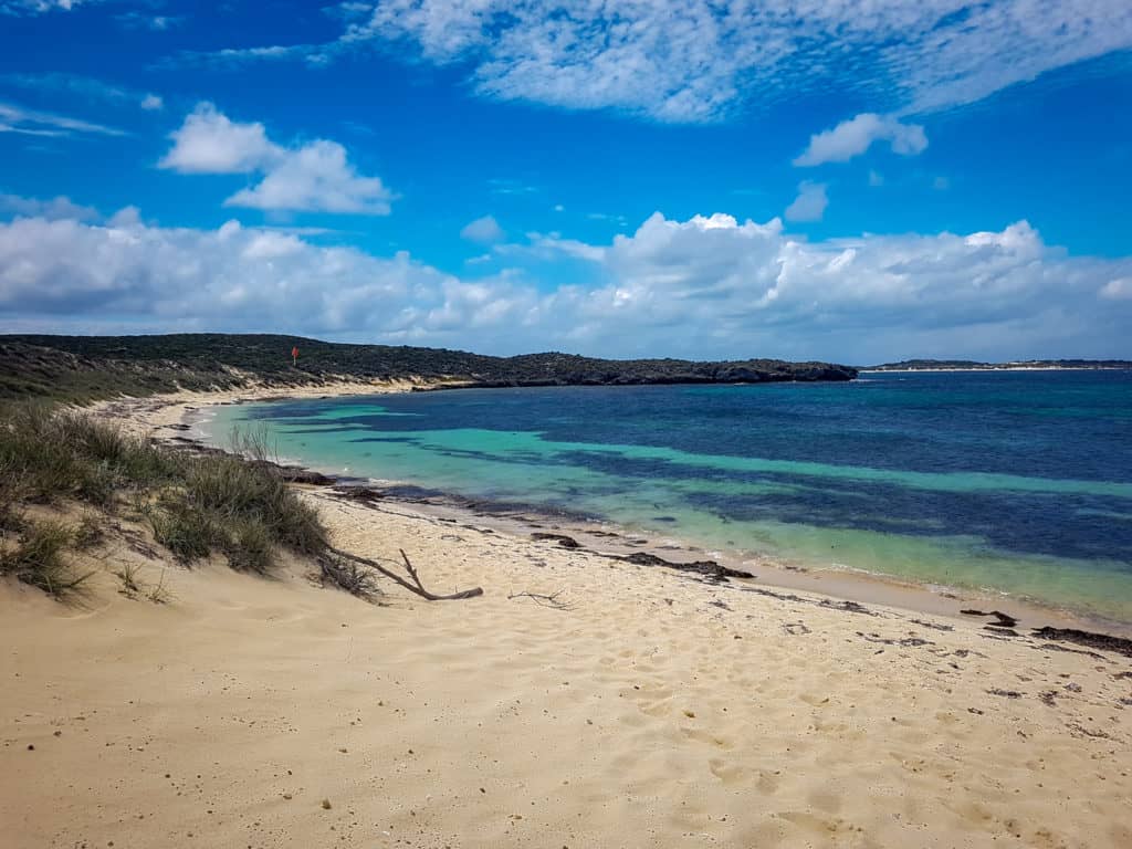 Beach on Rottnest Island, home to the quokka