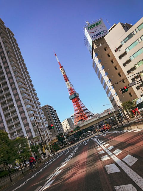 Driving go karts past Tokyo Tower 