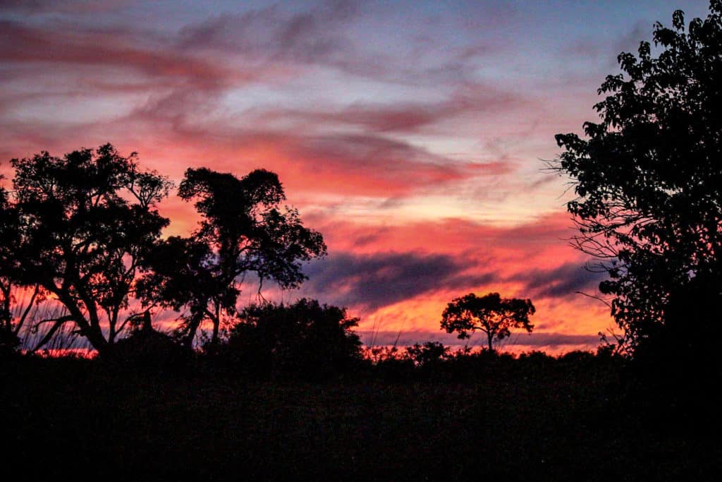 Sunrise over the Okavango Delta Plains in Botswana