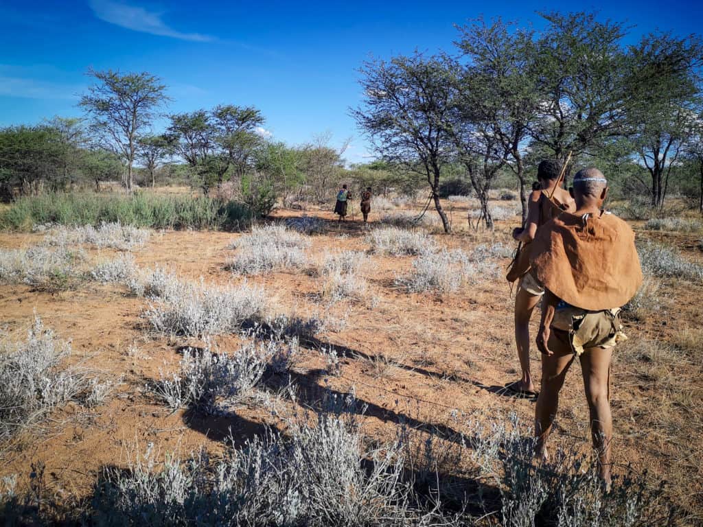 Going on a bush walllk with Ghanzi bushmen of Botswana