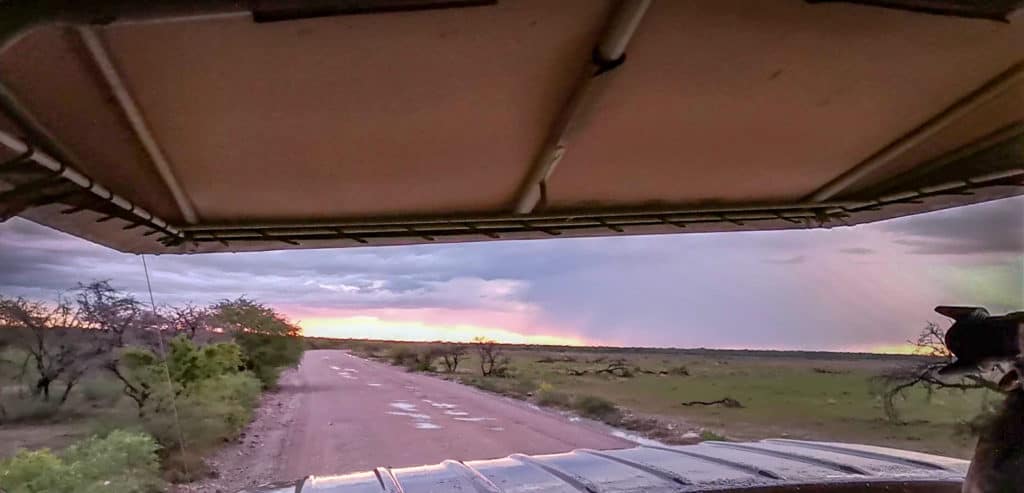 Heading out for our etosha night drive