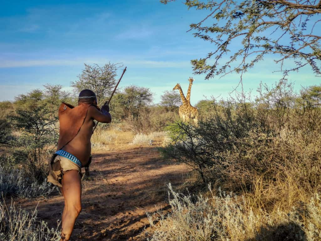 Ghanzi bushmen pretending to hunt giraffes in Botswana