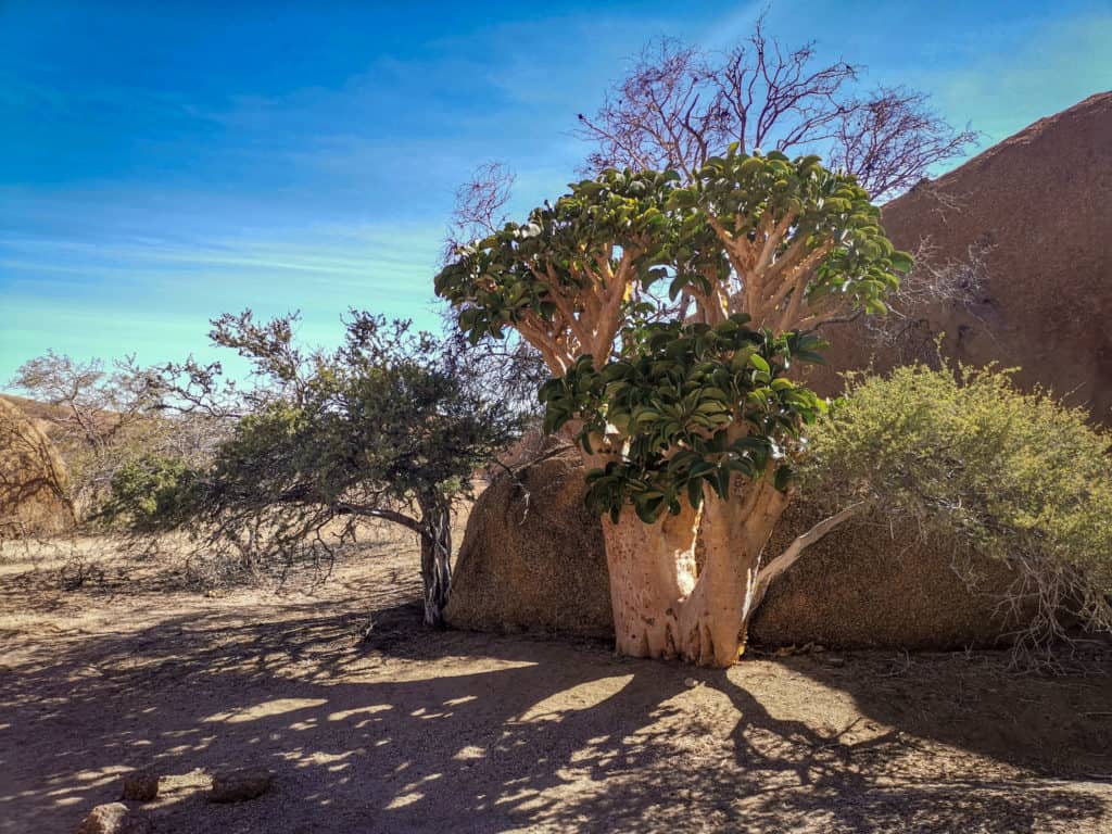 Spitzkoppe mountains Namibia