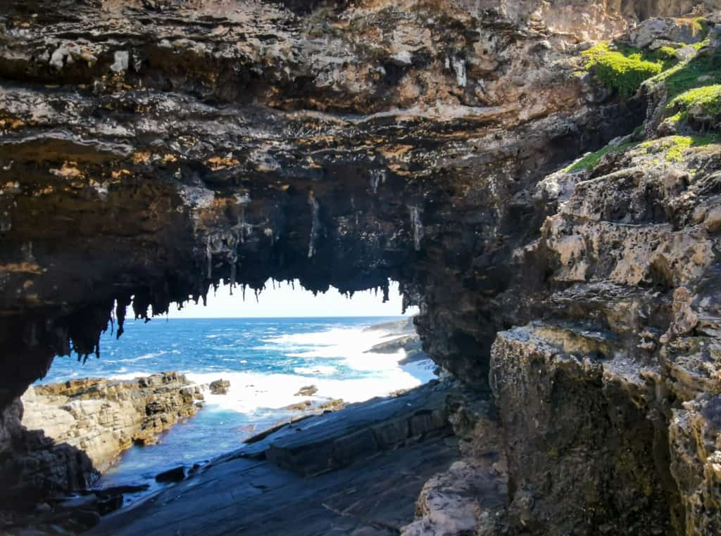 Admirals Arch - Kangaroo Island