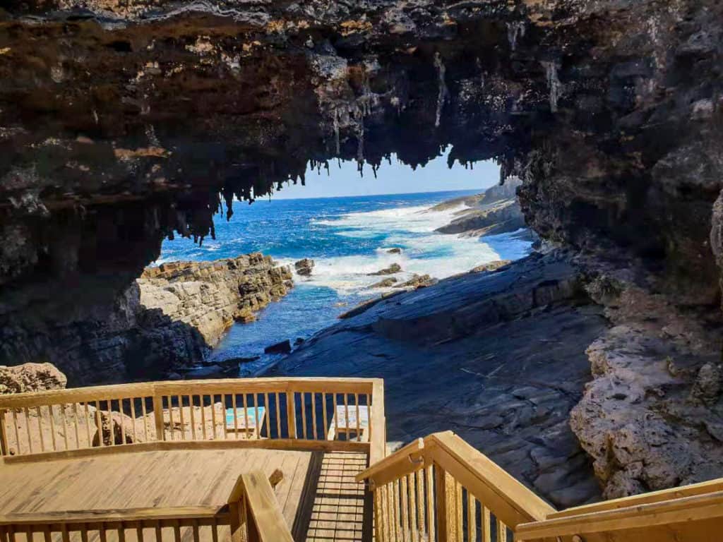 Admirals Arch - Kangaroo Island