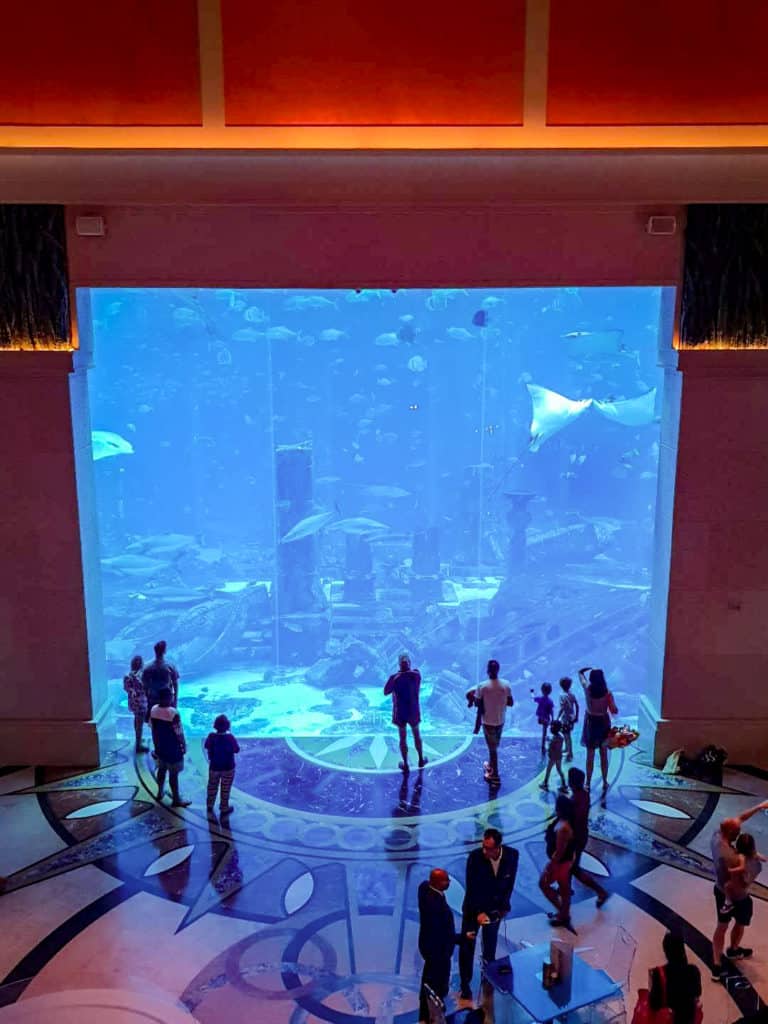 UAE's largest aquarium at Atlantis Dubai