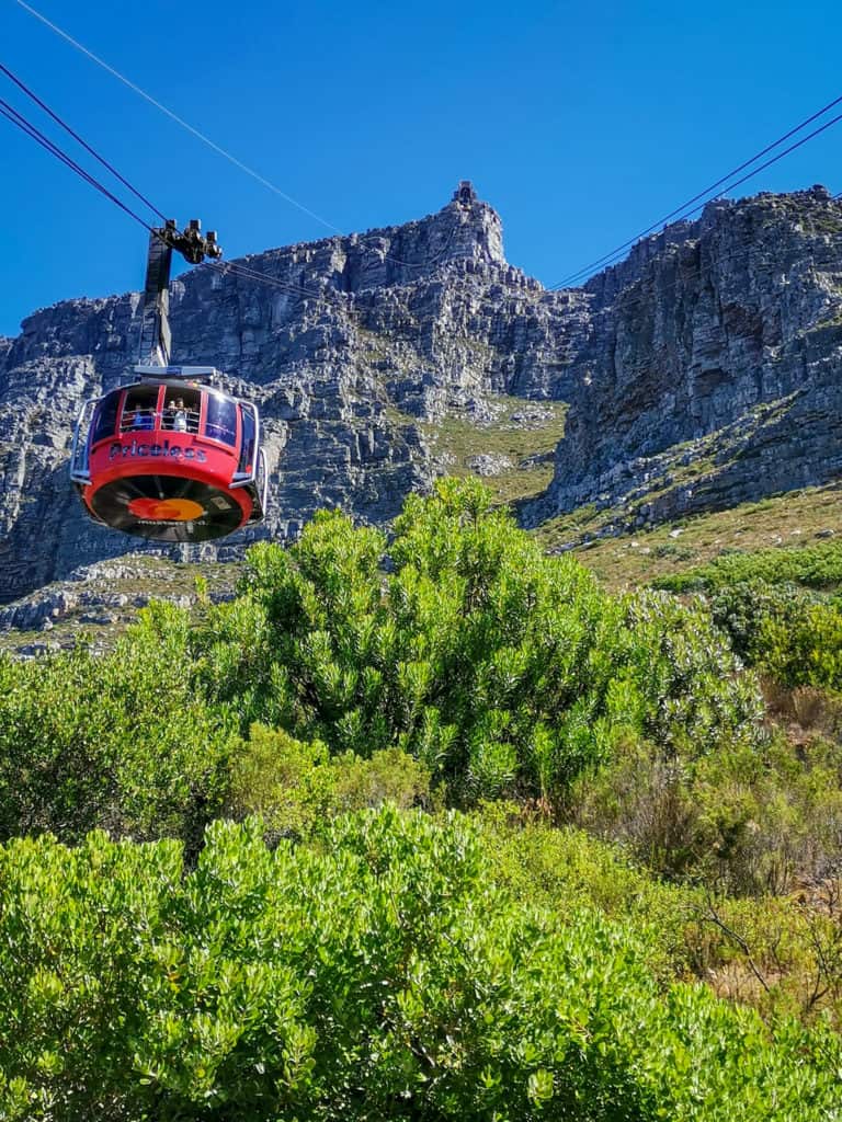 Table Mountain, Cape Town