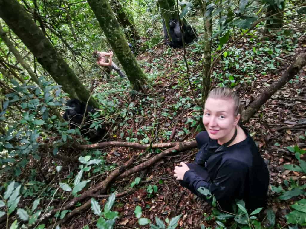 Gorilla trekking Uganda