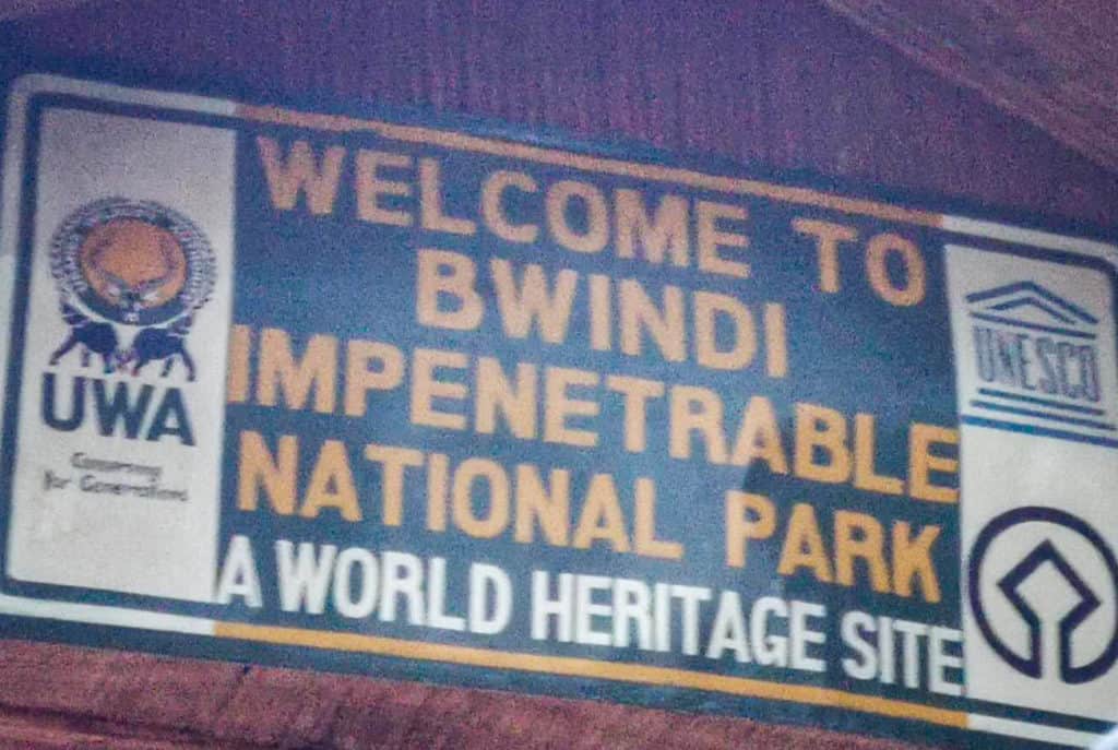 Bwindi Impentrable National Park
