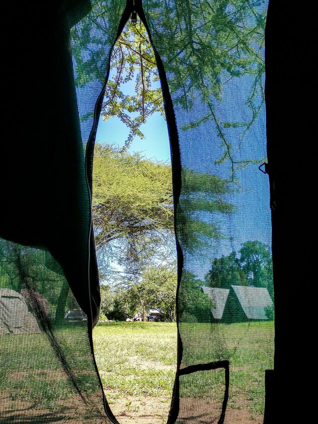 Tent at Meserani snake park camp in Arusha