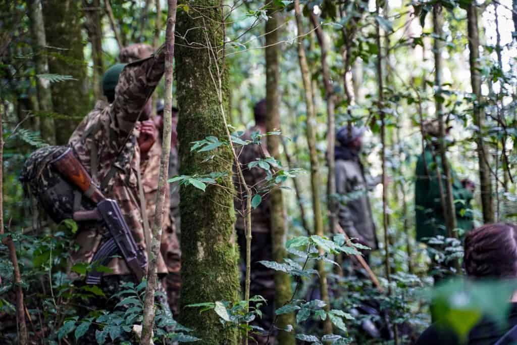 gorilla trek Uganda