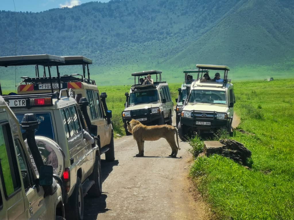 the Ngorongoro Crater in Tanzania.