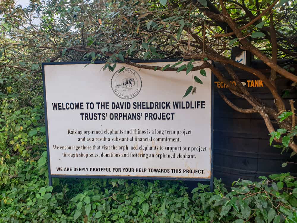 David Sheldrick Wildlife trust Kenya