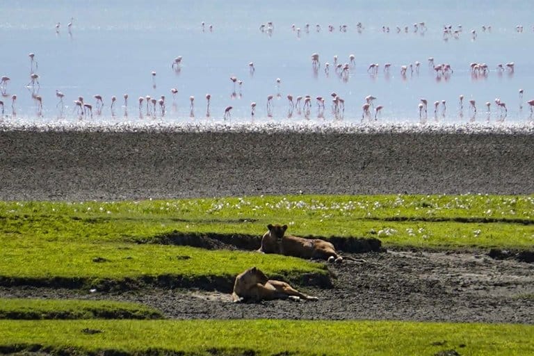 the Ngorongoro Crater in Tanzania.