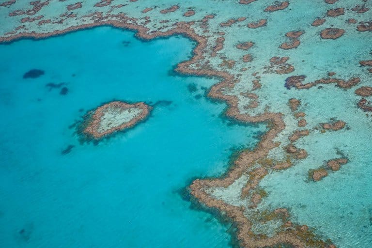 Heart reef Whitsundays