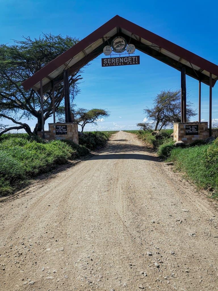 Serengeti safari