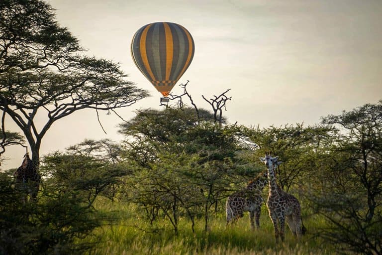 Hot air balloon serengeti bush camp safari