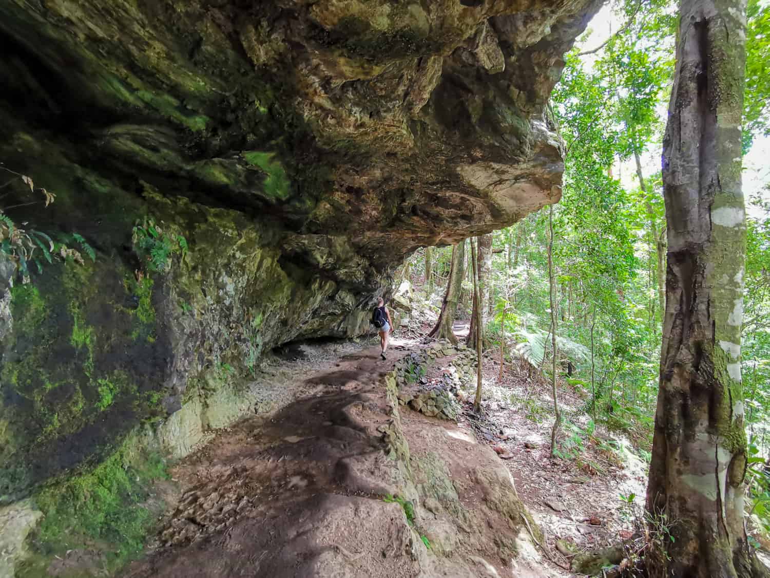 Twin Falls Springbrook - Four Worn Soles