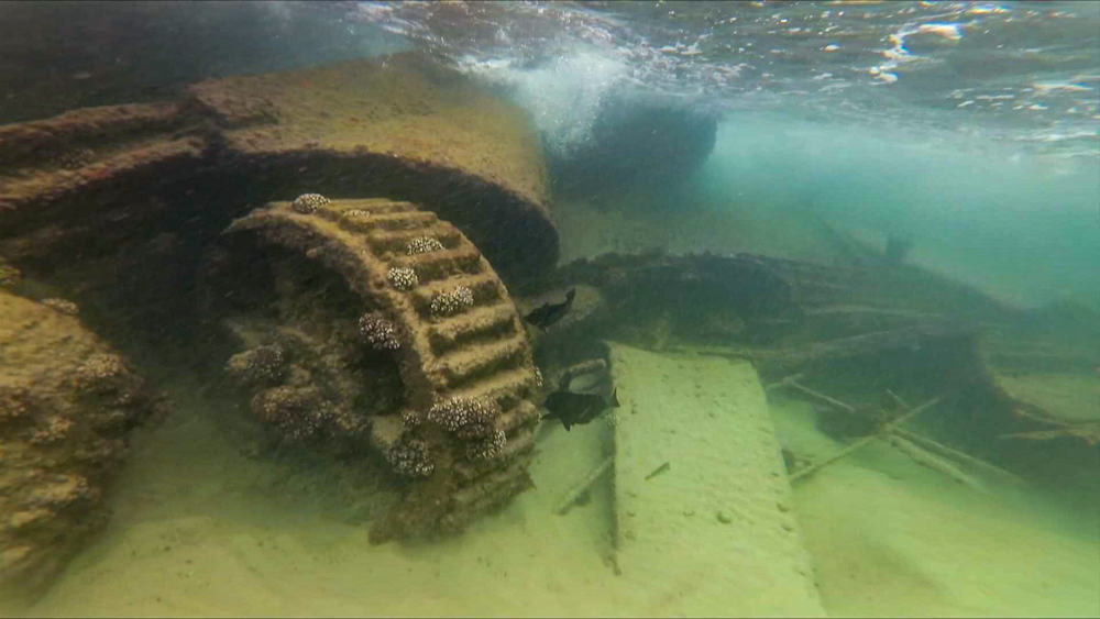 Tangalooma wrecks snorkeling
