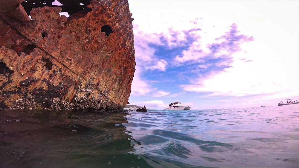 Snorkeling at Tangalooma wrecks