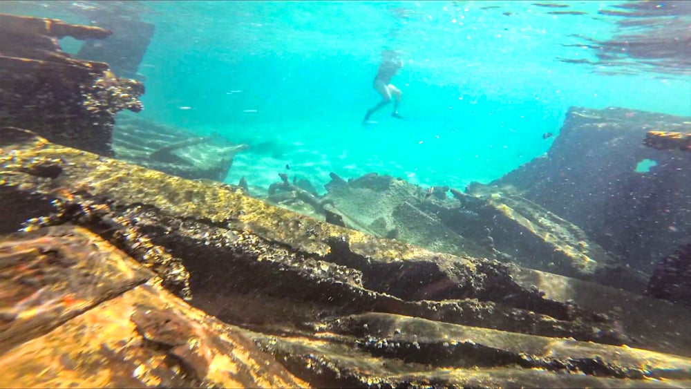Snorkeling at Tangalooma Wrecks