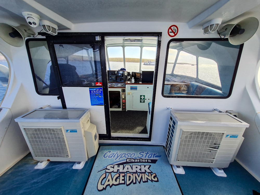 Calypso Star charters cage diving boat