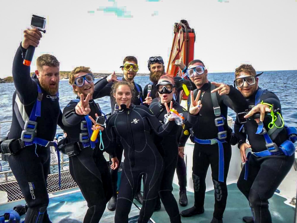 great white shark cage diving squad
