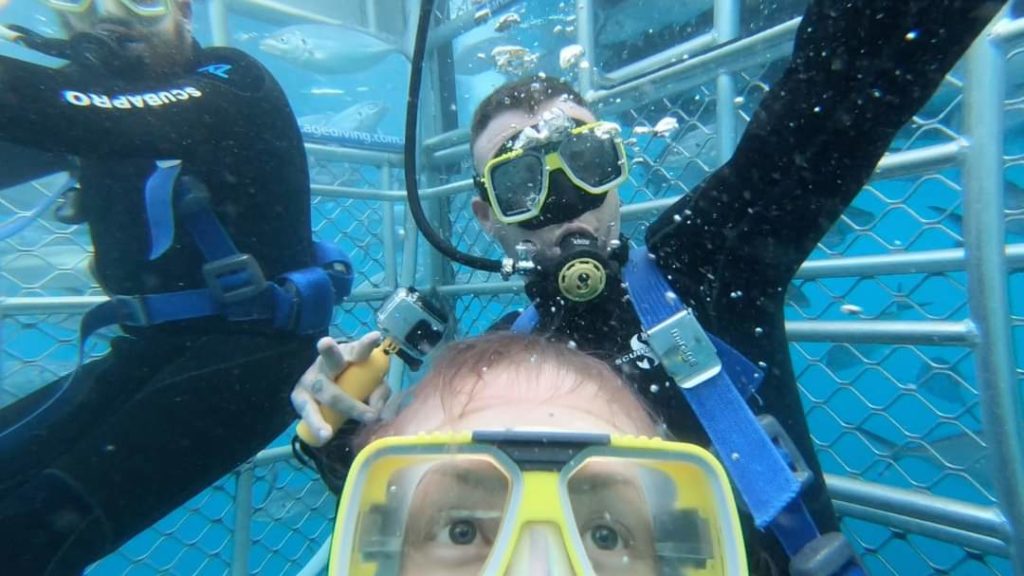 trevally kings cage diving at Neptune islands