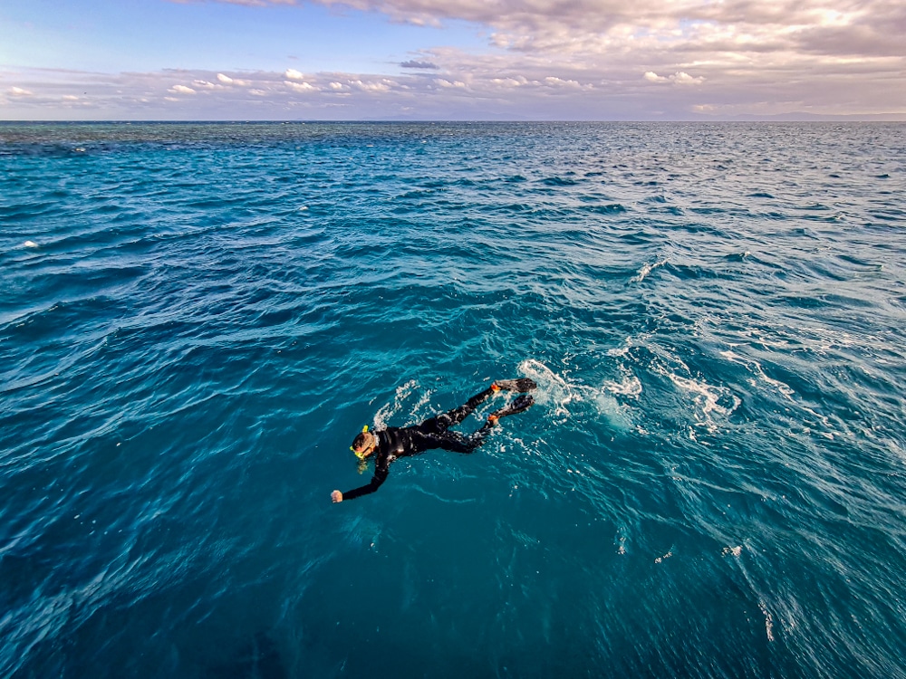 Snorkeling great barrier reef