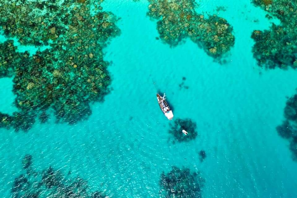 Great barrier reef liveaboard boat drone pic