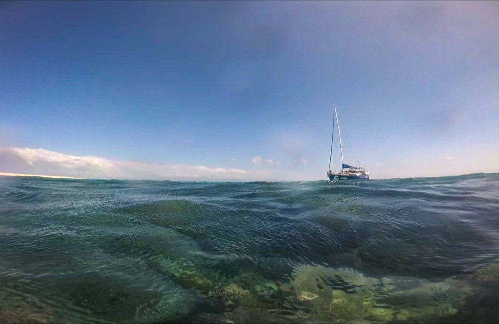 Great barrier reef liveaboard boat