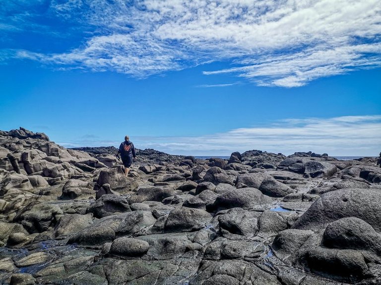 Rocky shore line Norfolk Island