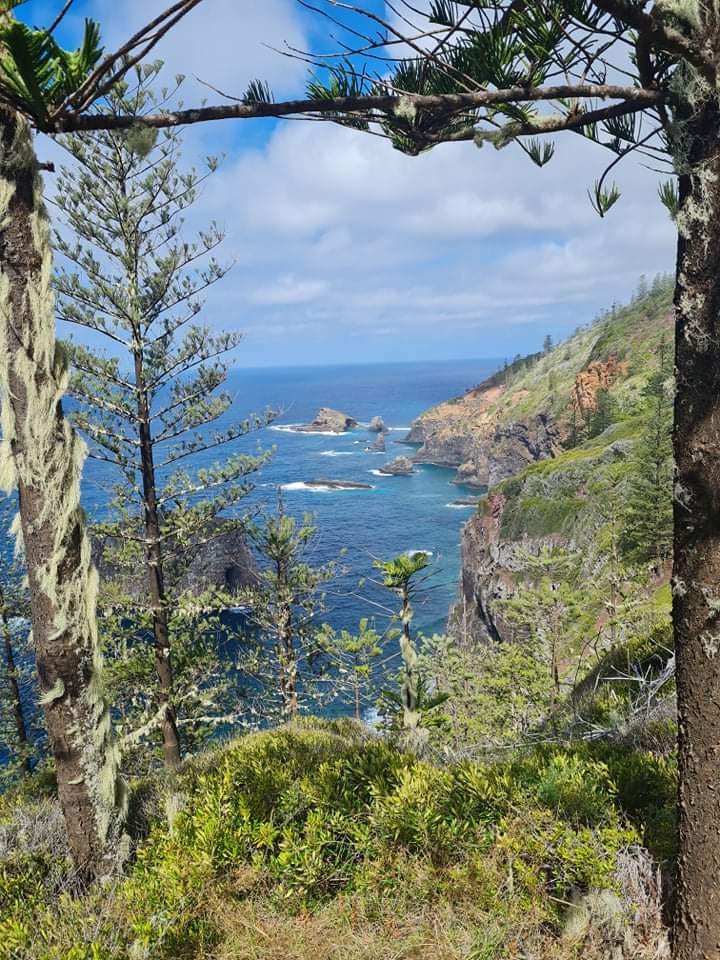 Norfolk island coastline