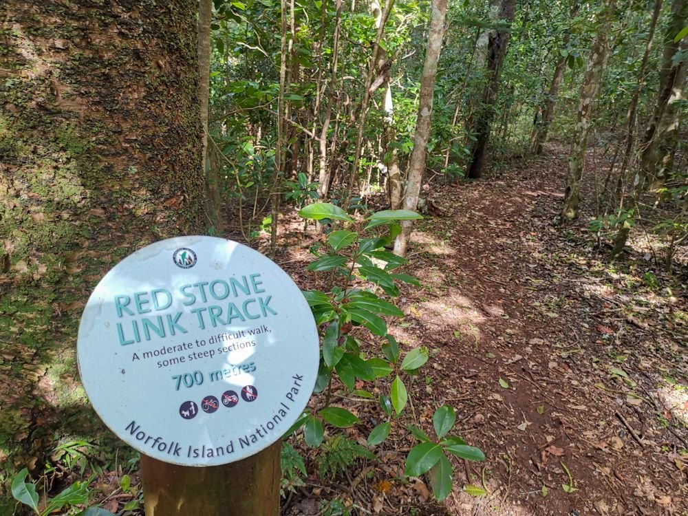 Red stone link track